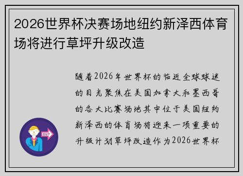 2026世界杯决赛场地纽约新泽西体育场将进行草坪升级改造